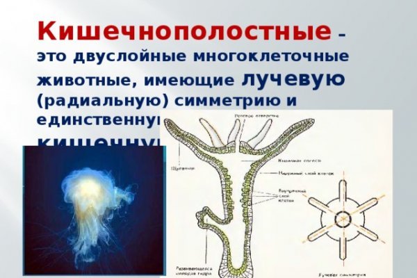 Kraken ссылка официальная